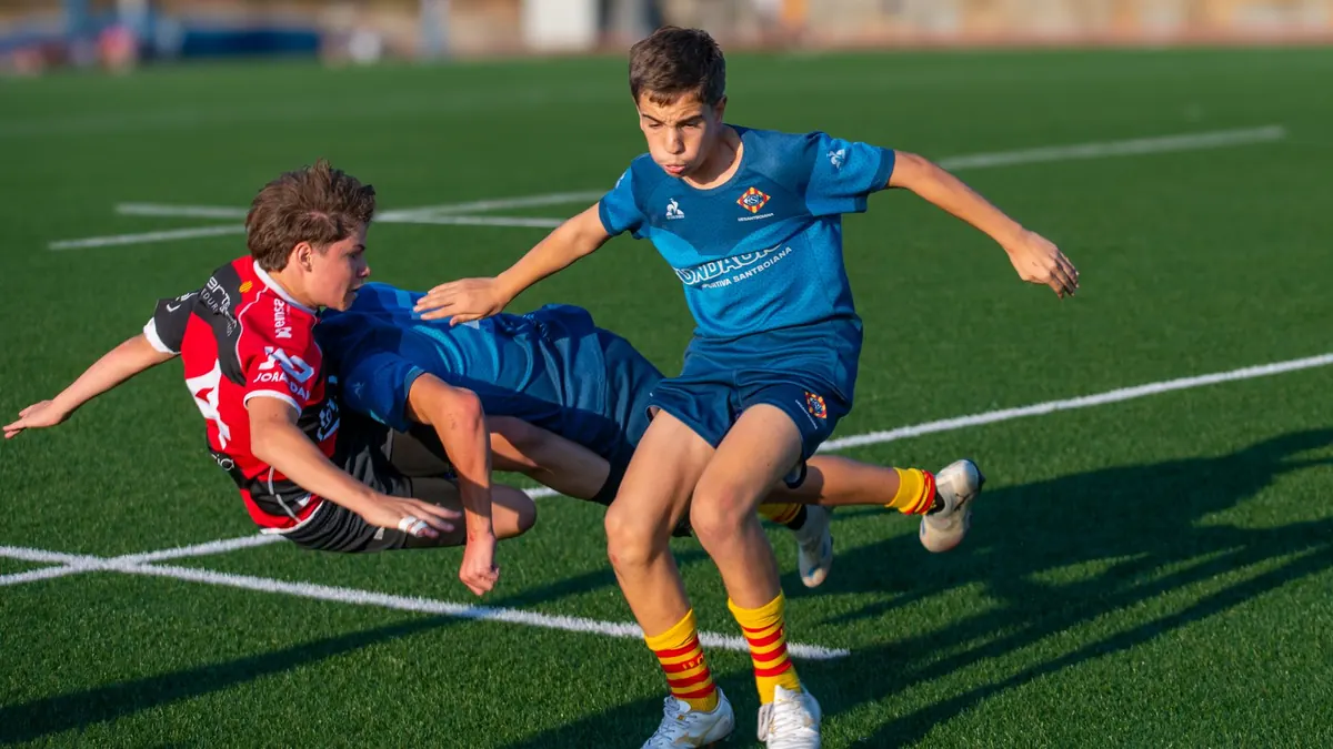 Local Rugby Clubs: How to Find, Join, and Support Your Nearest Team