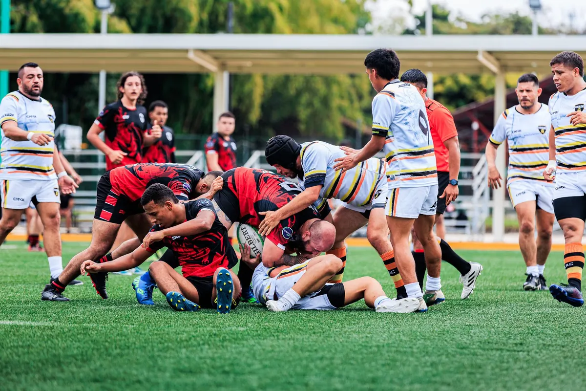 Rugby Union Positions Explained: A Beginner's Guide to Forwards, Backs, and the Number 8